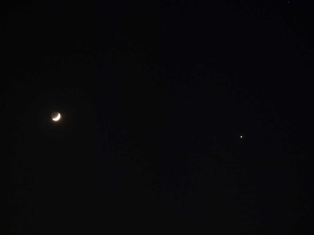 きれいな月と金星が並んでいました